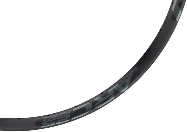 Easton Jante ARC 25 Offset 28" Disc - grey/32 trous