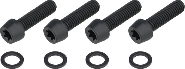 BikeYoke Vis Barkeeper en Titane - titane