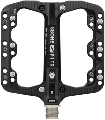 SB ONE Pedales de plataforma FR/DH - black/universal