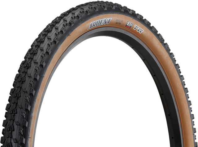 Ardent Dual EXO TR Tanwall 29" Folding Tyre - tanwall/29x2.4