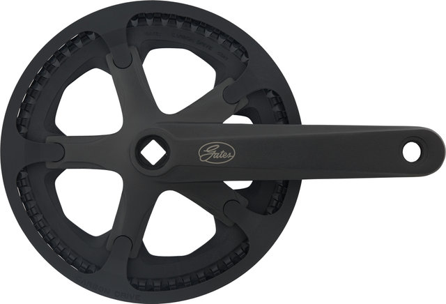 CDN S150 Crankset with Protective Ring - black/170.0 mm 55 tooth