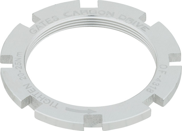 Gates Polea trasera CDX 9-Spline Disc 6 agujeros - plata/22 dientes