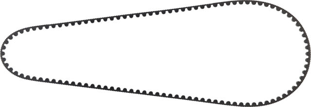 CDX Belt - black/1188 mm
