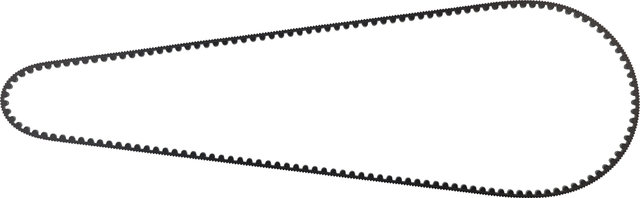 Gates CDX Belt - black/1661 mm