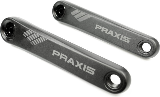 Praxis Works eCrank Aluminium ISIS Kurbel - black | 170,0 mm | ohne Kettenblatt