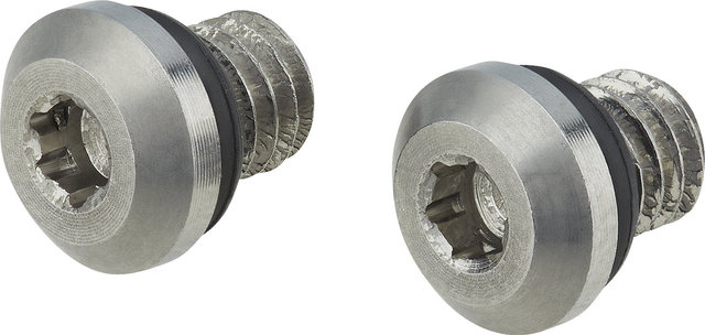 Trickstuff Tornillos de purga M4 para Maxima / Direttissima - plata