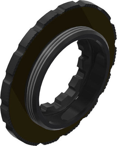 DT Swiss Centre-lock internal/external splined lockring - schwarz