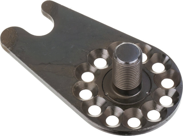 Rohloff Achsplatte TS OEM2 - universal