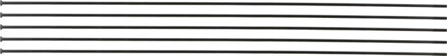 DT Swiss Champion® Straightpull 2.0 Speichen - 5 Stück - black/286 mm