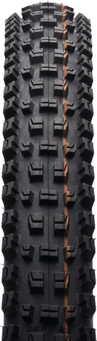 Schwalbe Cubierta plegable Albert Evolution Trail Radial ADDIX Soft TLR 29" - negro/29 /63 /63-622/2.5 
