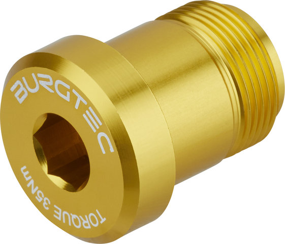 Burgtec SRAM T-Type Derailleur Bolt – Bolt 2 - bullion gold