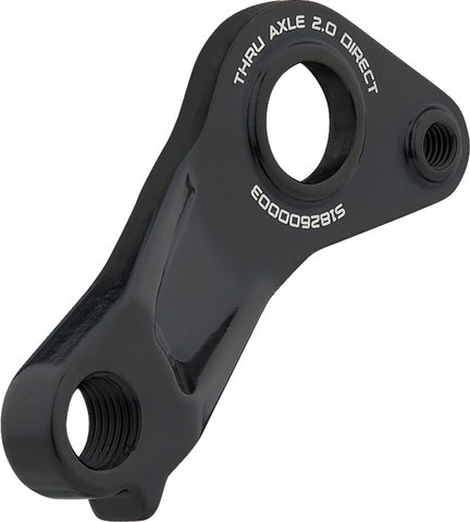 Specialized Derailleur Hanger for Tarmac / Venge Disc as of 2018 Model - black/universal