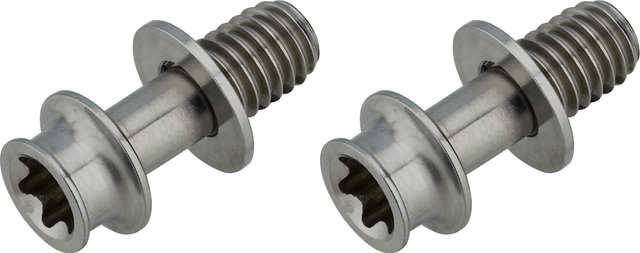 Extralite Titan Befestigungsschrauben für Bremssattel - silber/M6x16