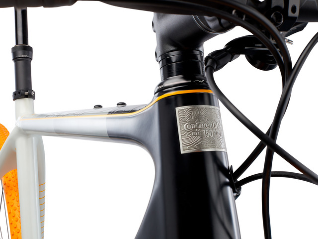 NEW U.P. Limited Edition Continental Anniversary Bicycle - continental limited edition/M
