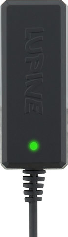 Lupine Chargeur Wiesel V6 pour Batteries Li-Ion - noir/universal