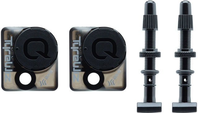 QUARQ Manómetro de cubiertas TyreWiz para MOTO - black/universal