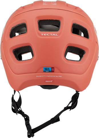 POC Casque Tectal - lt agate red mat/55 - 58 cm