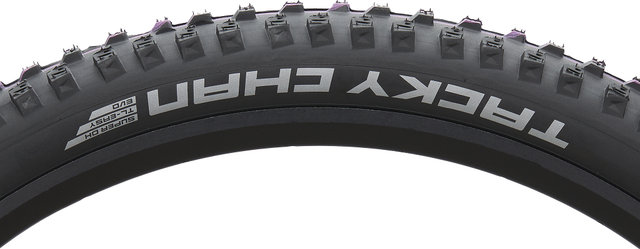 Schwalbe Neumático plegable Tacky Chan Evolution ADDIX Ultra Soft Super Downhill 29" - negro/29 /62 /62-622/2.4 