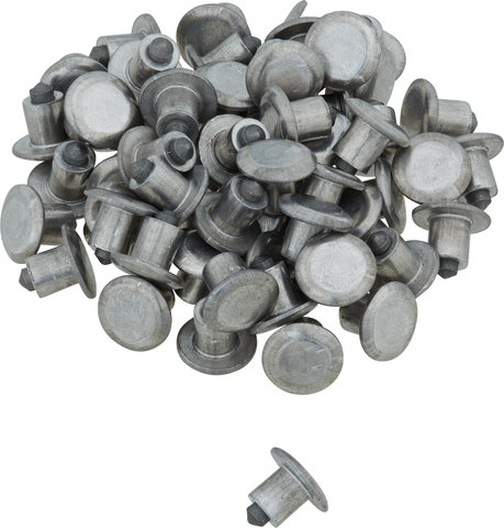 Ersatzspikes - Aluminium/universal