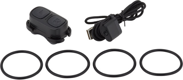Control remoto y soporte de manillar Remote + Handlebar Mount - black/universal