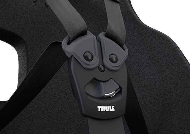 Thule Yepp Nexxt 2 Maxi Fahrradkindersitz zur Sitzrohrmontage - aquamarine blue