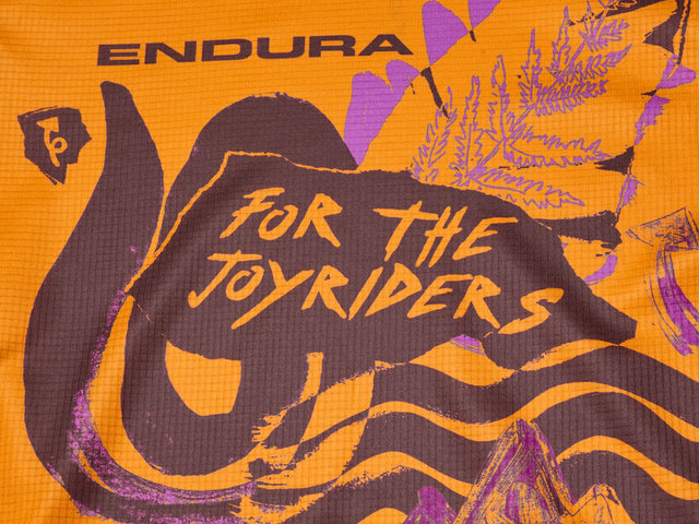 Endura Shirt Singletrack Print pour Enfants - end orange | M