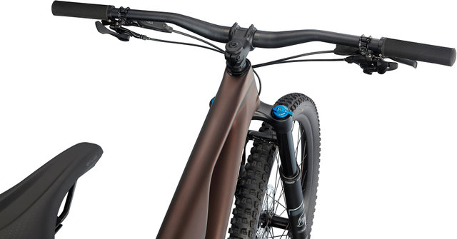 Specialized Stumpjumper EVO Comp Carbon 29