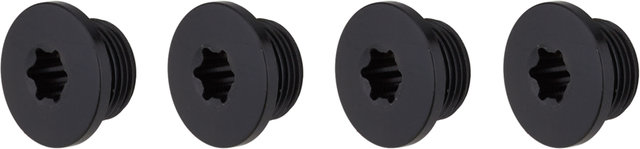 Campagnolo Ekar Chainring 13-speed, 4-arm, 123 mm Bolt Circle Diameter - black/38 tooth