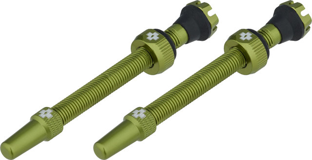 Válvulas Tubeless V2 - green/SV 60 mm