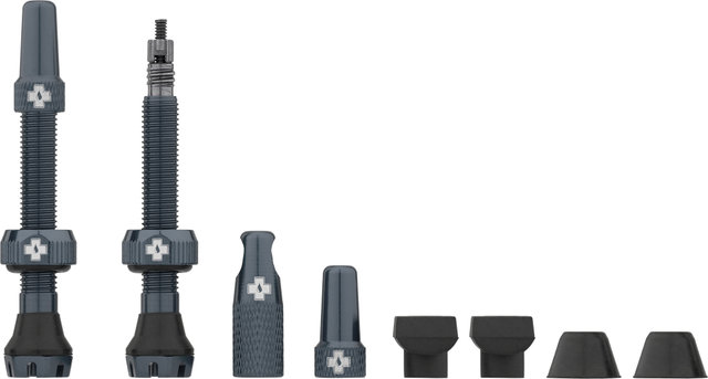 Válvulas Tubeless V2 - grey/SV 44 mm