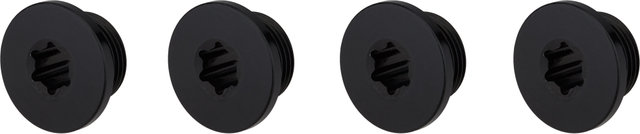 Ekar Chainring Bolts - black/universal
