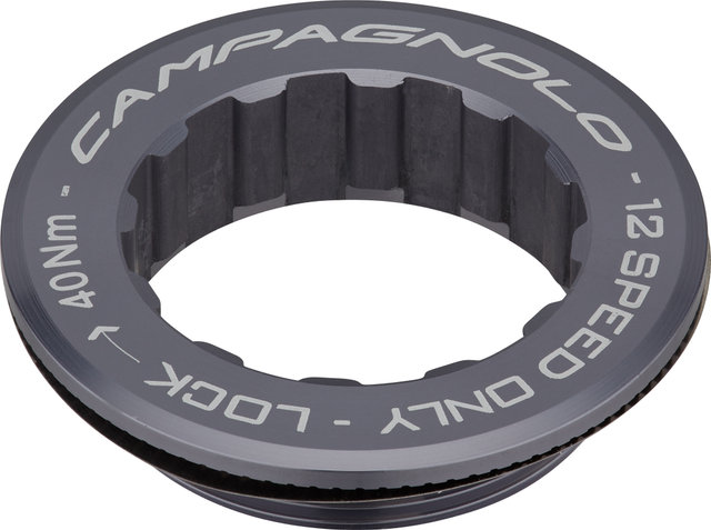 12-speed Lockring - silver/12-speed