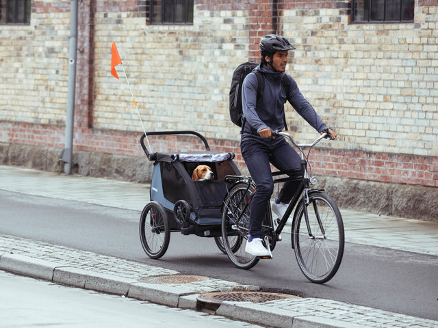 Remolque para niños Courier - aegean blue/universal