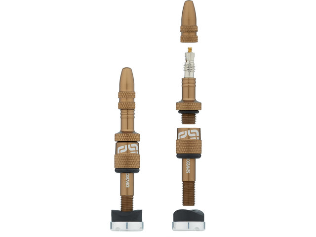 Quick Fill Tubeless Valve - 2 Pack - bronze/SV 19-23 mm