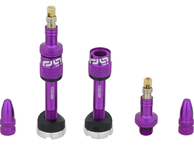 Quick Fill Tubeless Valve - 2 Pack - eggplant/SV 23-30 mm