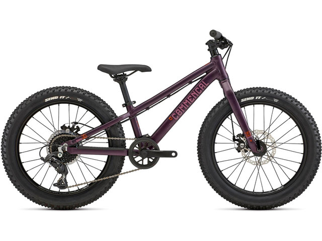 RMNS 20" Kinderfahrrad - metallic purple/universal