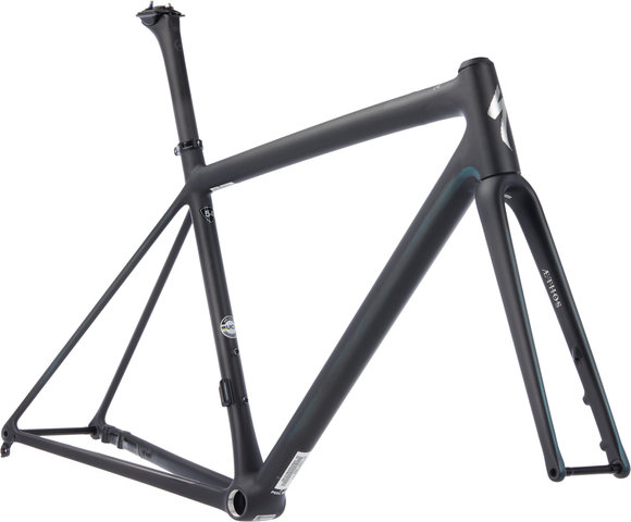 S-Works Aethos Disc Carbon Rahmenkit - carbon-chameleon eyris-chrome/54 cm