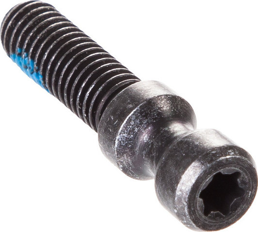 Magura Schnellspanner-Schraube für Evo 2 Torx - grau