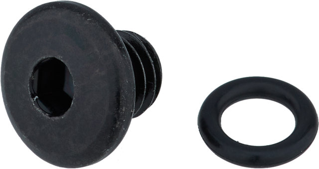 Entlüftungsschraube für BL-M6000 / BL-MT400 / BL-S7000 - universal/universal