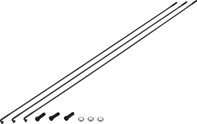Zipp Ersatzspeichenkit für 3ZERO MOTO 29" - black/300 mm