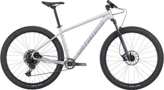 Vélo Tout-Terrain Rockhopper Expert 29" - satin silver dust-black holographic foil/L