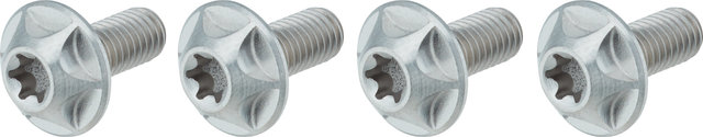 SILCA Vis Torx en Titane pour Porte-Bidon - titane/T25