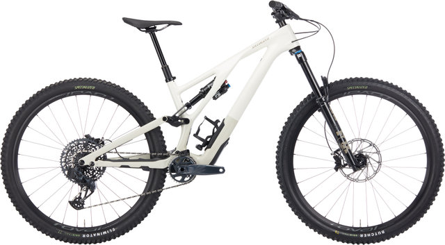 Bici de montaña Stumpjumper EVO Expert Carbon 29" Modelo 2023 - gloss birch-taupe/S3