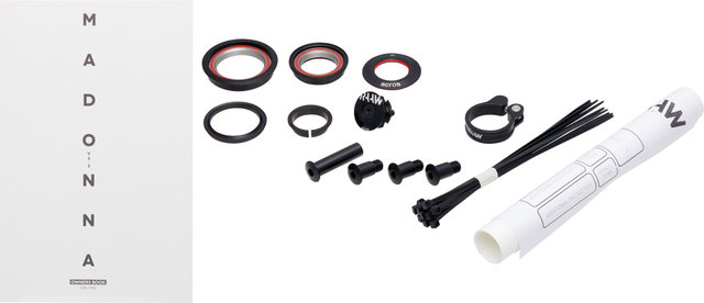Madonna V2.2 29" Rahmenkit mit Fox DHX2 2POS und 38 Float GRIP2 - raw matt/M, 60 mm, 600 lbs
