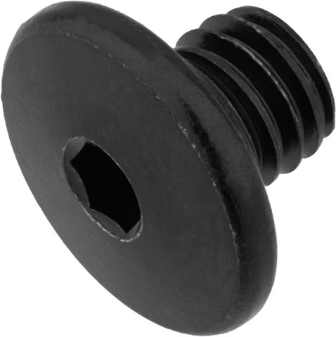 Shimano Tornillo de purga para BL-M666 / BL-M675 / BL-M640 / BL-M615 - negro/universal