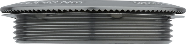 SRAM Verschlussring Aluminium für XG-1190 - silver/universal