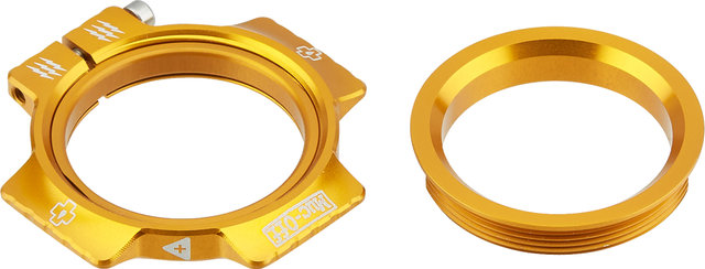 Preload Adjuster Ring - gold/universal