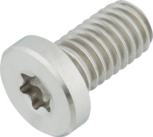 77designz Tornillo de titanio Ti Bolt - natural/M6x11