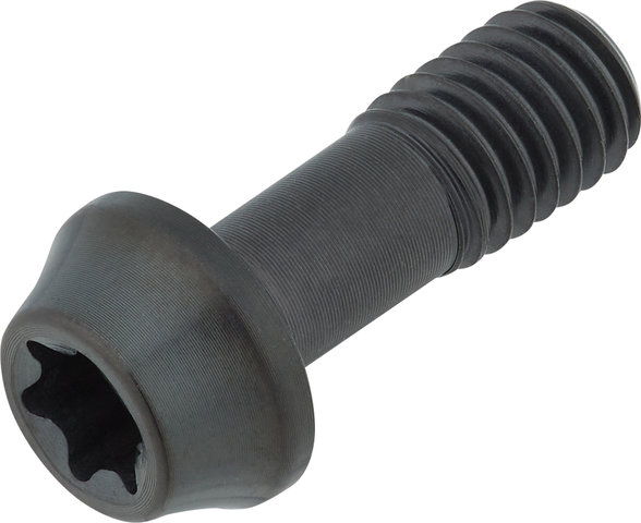 77designz Tornillo de titanio Ti Bolt - black/M5x14