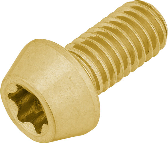 77designz Tornillo de titanio Ti Bolt - gold/150-170 mm